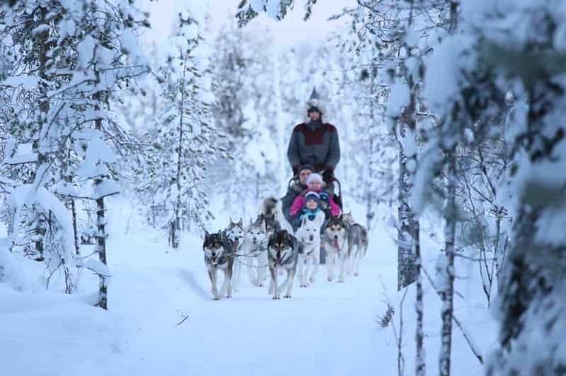 Billet Rovaniemi : aventure de 7 km en traîneau à chiens