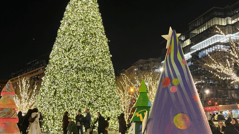 Billet Visite en bus des illuminations et du sapin de Noël de la Maison Blanche