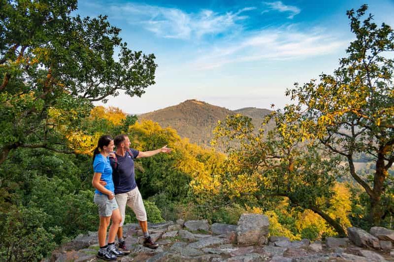 Billet Baden-Baden : Randonnée avec un guide de la Forêt-Noire