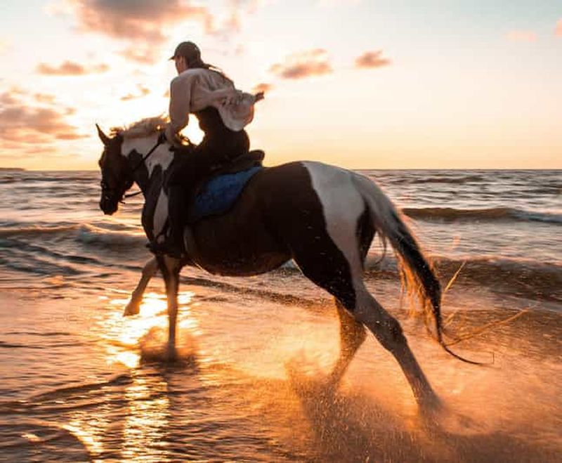 Billet Antalya/Belek : Promenade à cheval en forêt et sur la plage