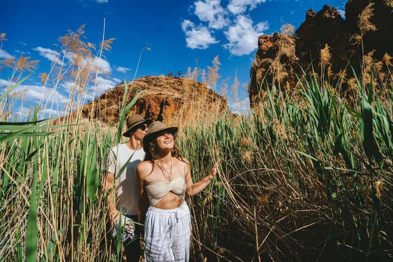 Billet Alice Springs : Safari aventure de 5 jours sur le sentier de randonnée Larapinta