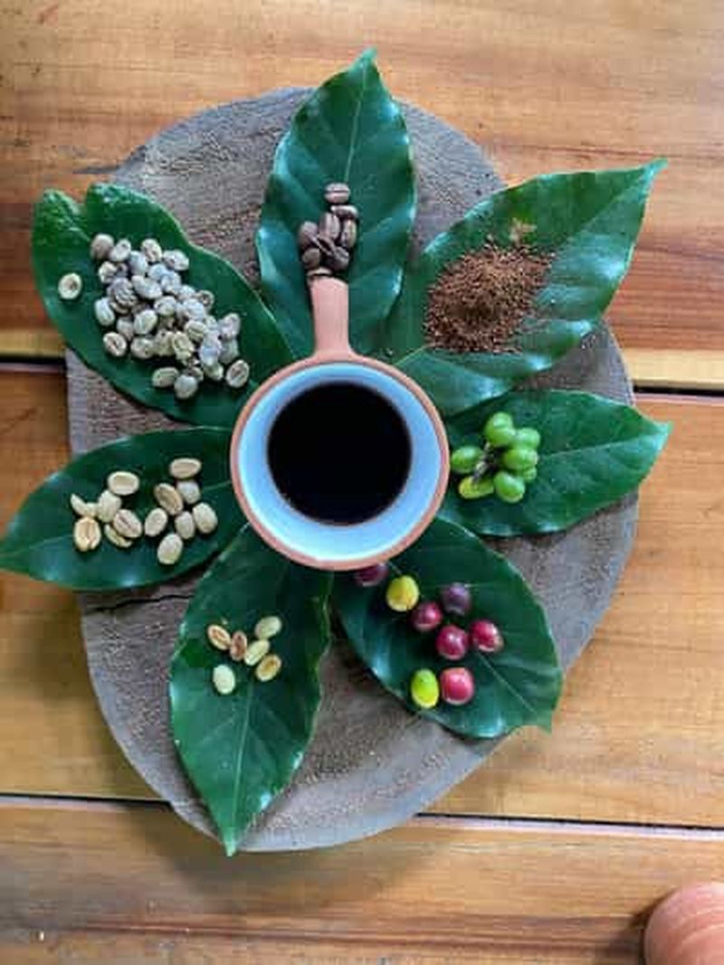 Billet Cusco : Expérience sensorielle sur une plantation de café et de cacao