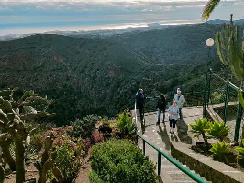 Billet Depuis Las Palmas : Demi-journée Volcano Bandama et vignoble