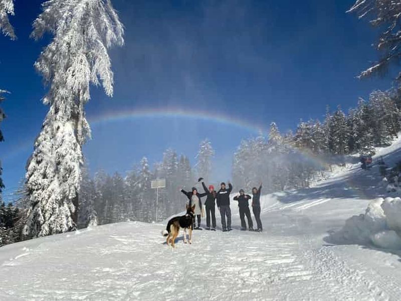 Billet Ehrwald : Randonnée en raquettes à Zugspitze avec vue sur les montagnes