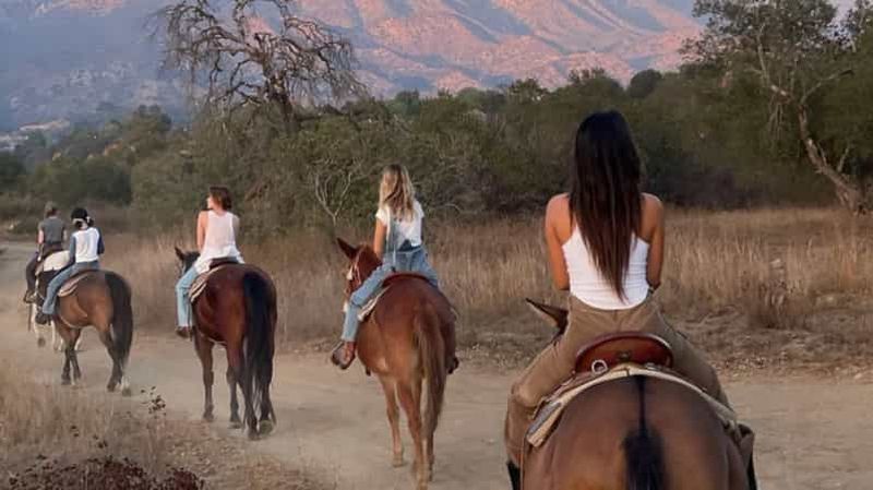 Billet Départ de Sousse ou Monastir :Balade à cheval en Forêt à Kantaoui