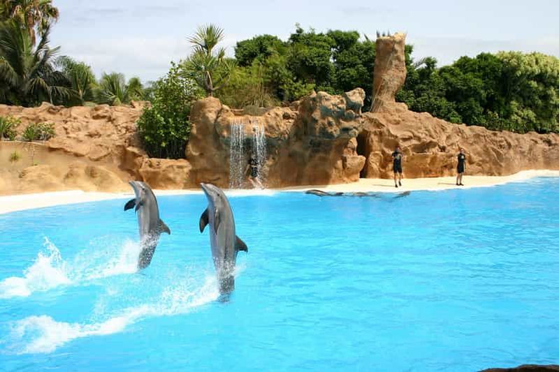 Billet Alanya : Visite du parc des dauphins de Sealanya avec spectacle de dauphins