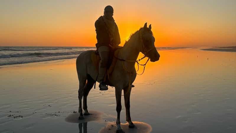 Billet Trek authentique à cheval arabe : le patrimoine côtier de Salalah