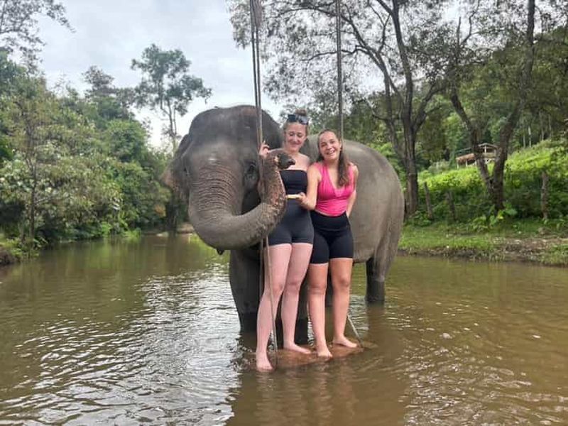 Billet Chiang Mai : visite de groupe du sanctuaire des éléphants et des cascades