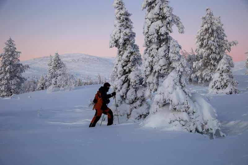 Billet Levi : randonnée en raquettes dans le parc national de Pallas-Yllästunturi