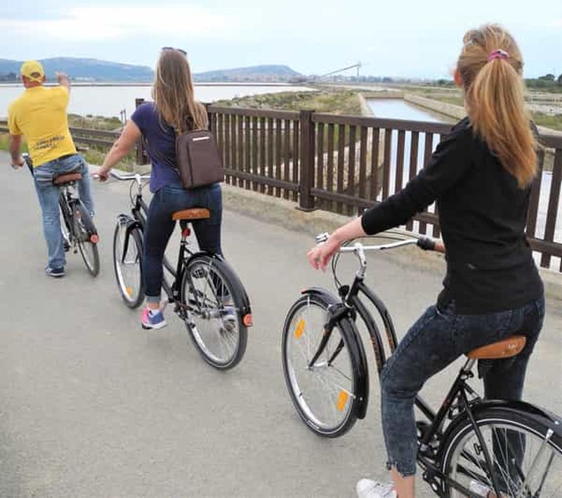 Billet Cagliari : Excursion à vélo dans l'oasis de Flamingo