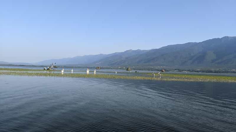 Billet Au départ de Thessalonique : Lac Kerkini, tour en bateau et visite de vignobles à la journée