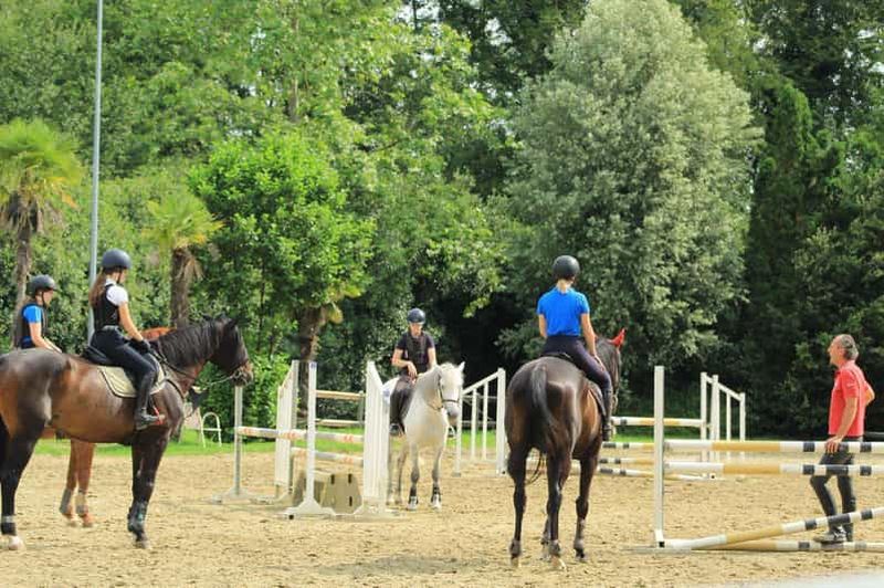 Billet Lac Majeur : Cours d'équitation en groupe (basique et intermédiaire)