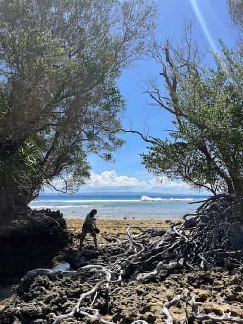 Billet Île Neil : promenade, marres résiduelles et microscopie marine
