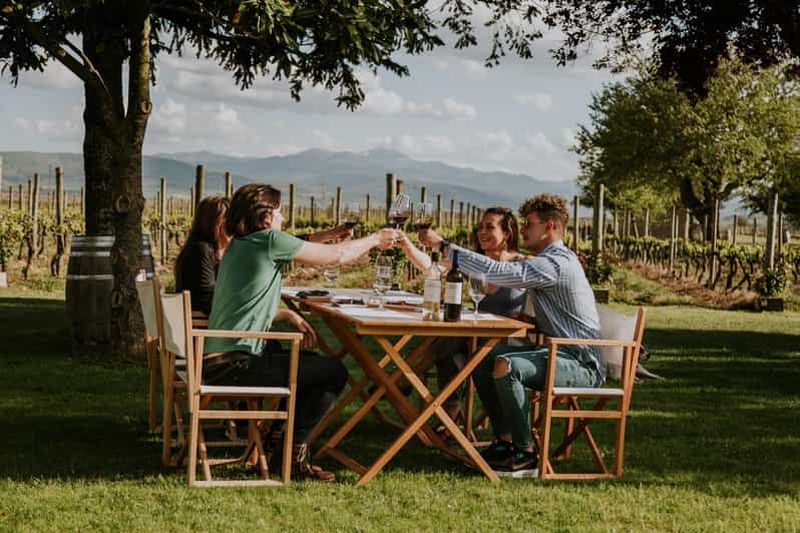 Billet Au départ de Bilbao : La Rioja, un voyage à travers les vignobles et la tradition