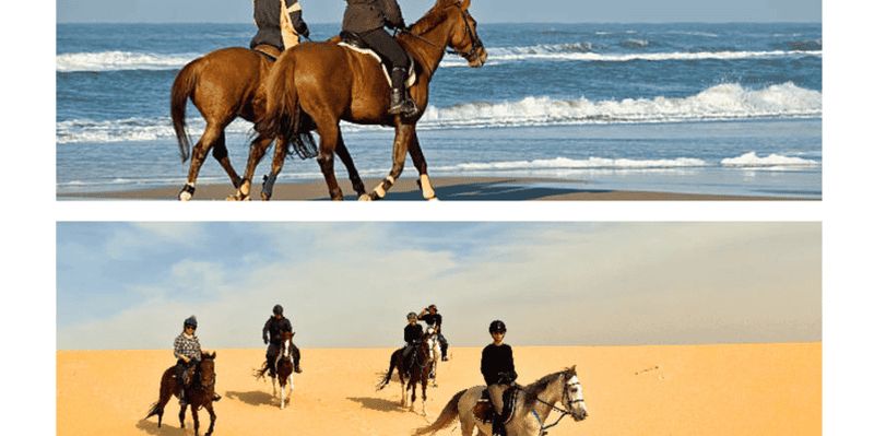 Billet L'esprit de l'Arabie à cheval : une expérience équestre dans le désert