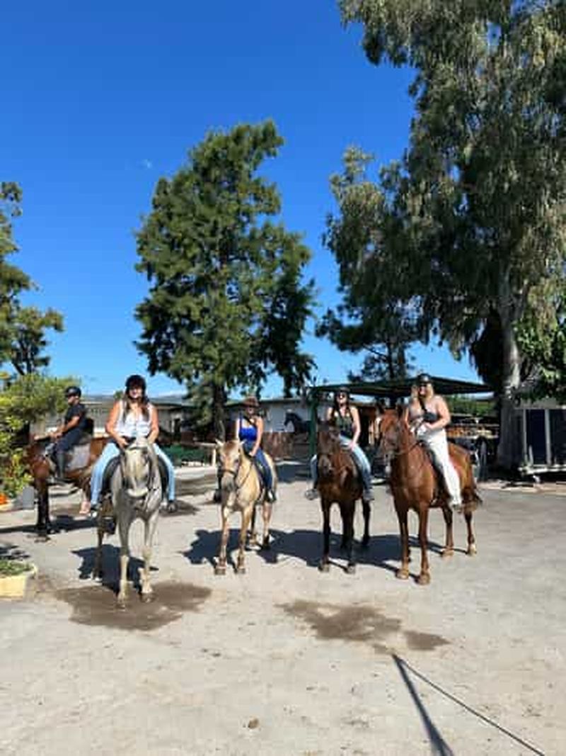Billet Barcelone : promenade à cheval et brunch, tous niveaux, avec prise en charge