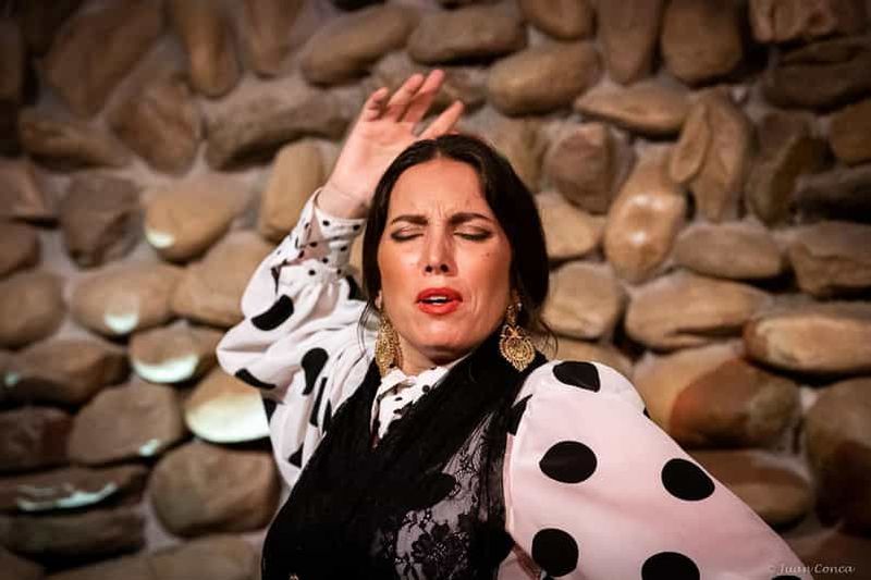 Billet Malaga : spectacle de flamenco authentique à El Gallo Ronco