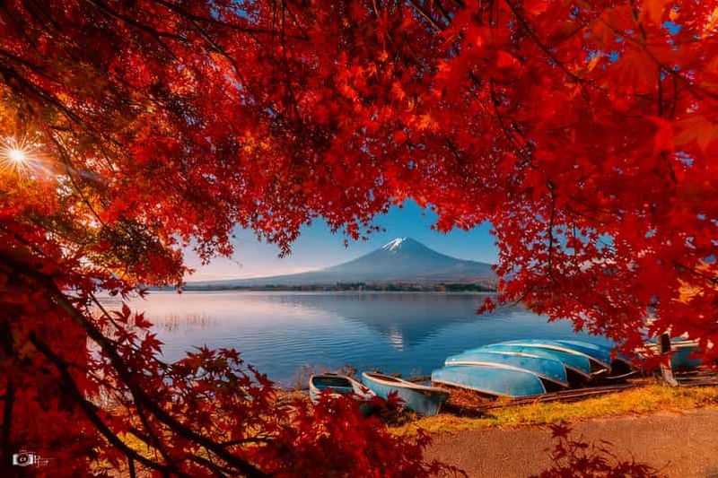 Billet Tokyo : excursion d'une journée complète au mont Fuji et au lac Kawaguchi Instagram