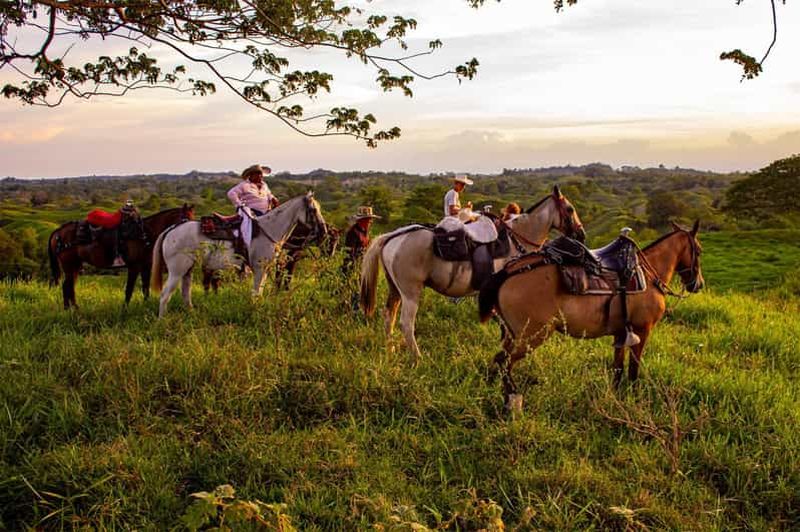 Billet Depuis Medellin ; (Tout compris) La véritable expérience d'un ranch à cheval
