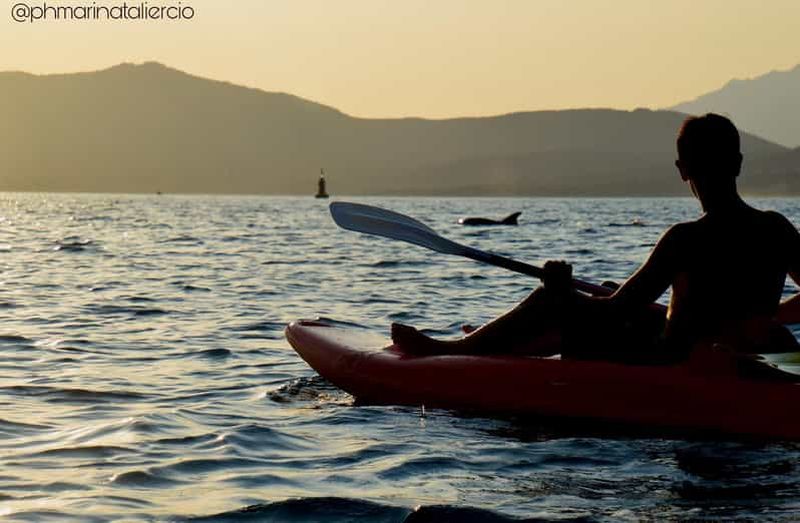 Billet Golfo Aranci : Excursion en kayak au coucher du soleil en compagnie des dauphins avec apéritif
