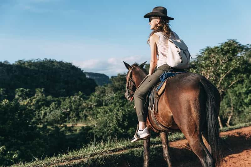 Billet Punta Maroma : balade à cheval de luxe, vin et pique-nique