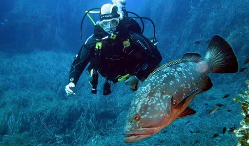 Billet Île d'Elbe : cours de plongée sous-marine en eau de mer confinée