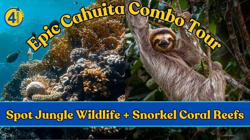 Billet Visite combinée épique de Cahuita : snorkeling dans les récifs et randonnée dans la nature