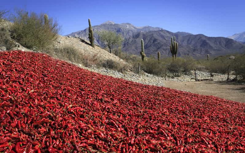 Billet Depuis Salta : Cafayate, Cachi et Salinas Grandes en 3 jours