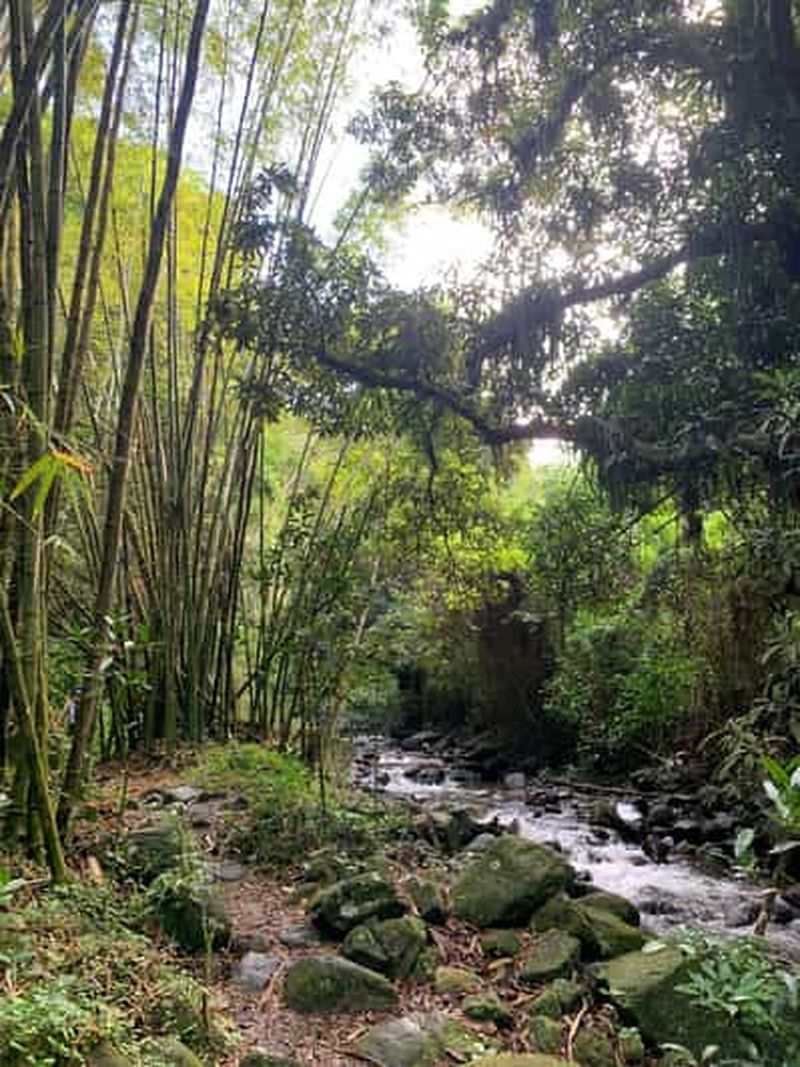 Billet Glissez dans l'aventure : randonnée et toboggans naturels