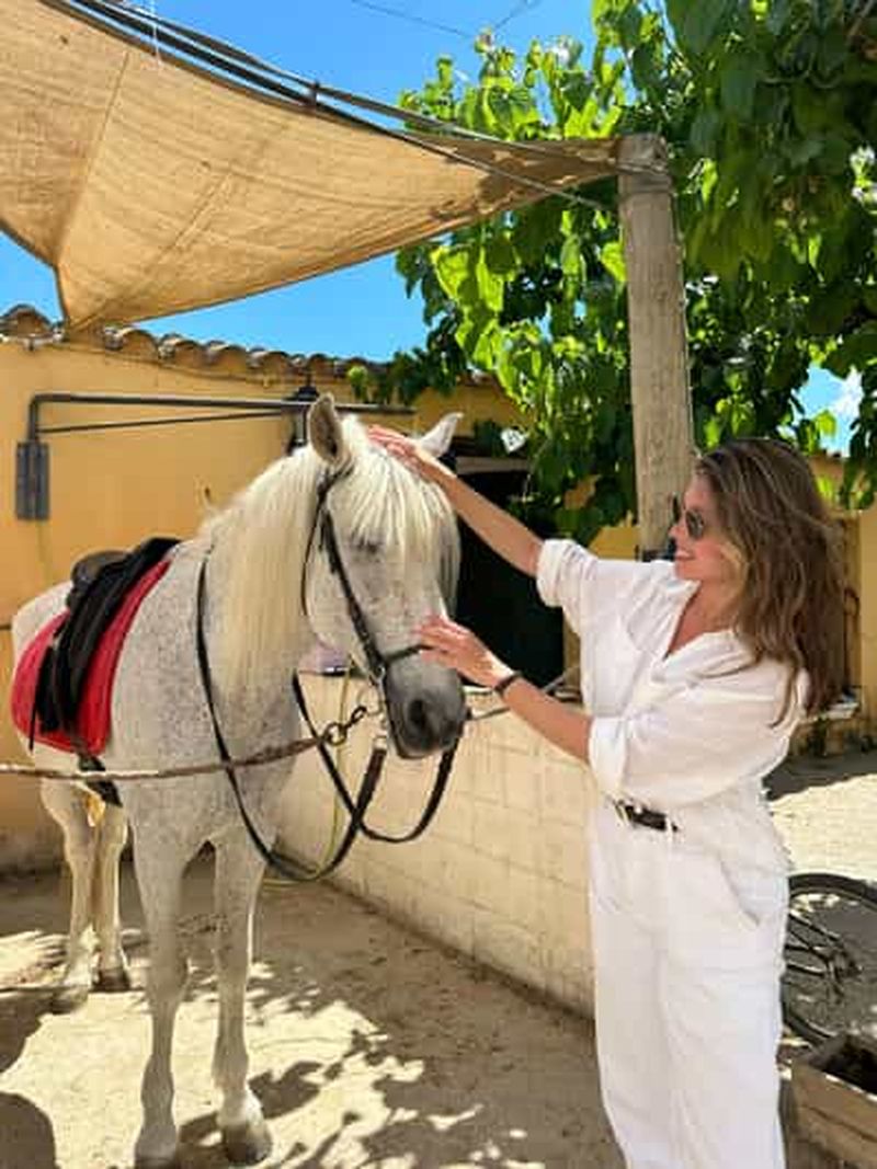 Billet El Cotillo : promenade à cheval au coucher du soleil