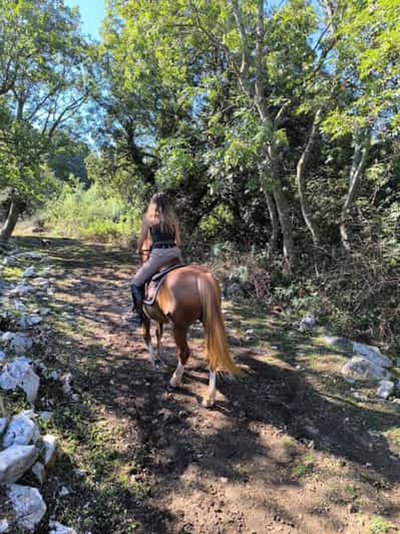 Billet Gargano à cheval : randonnée dans le bois de Spinapulci (cavaliers expérimentés)