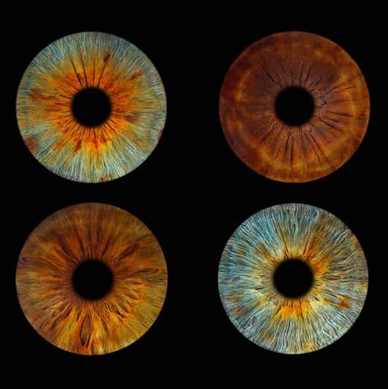 Billet Paris : Photographie professionnelle de l'iris avec tirage encadré