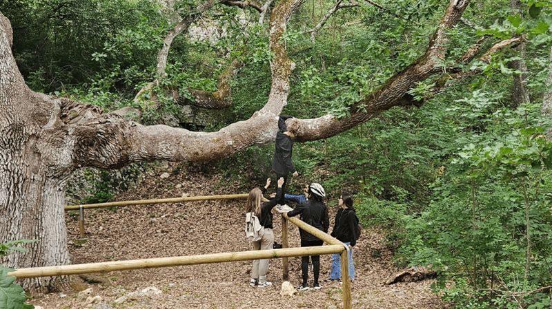 Billet Cassano : immersion facile à vélo électrique dans la forêt de Mercadante