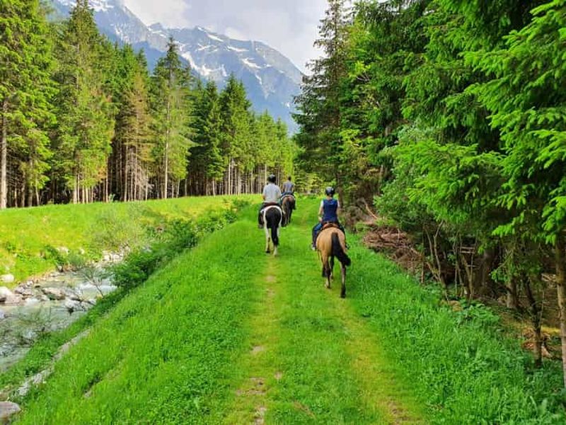 Billet Pontedilegno-Temù : Promenade à cheval dans le Val d'Avio avec un guide