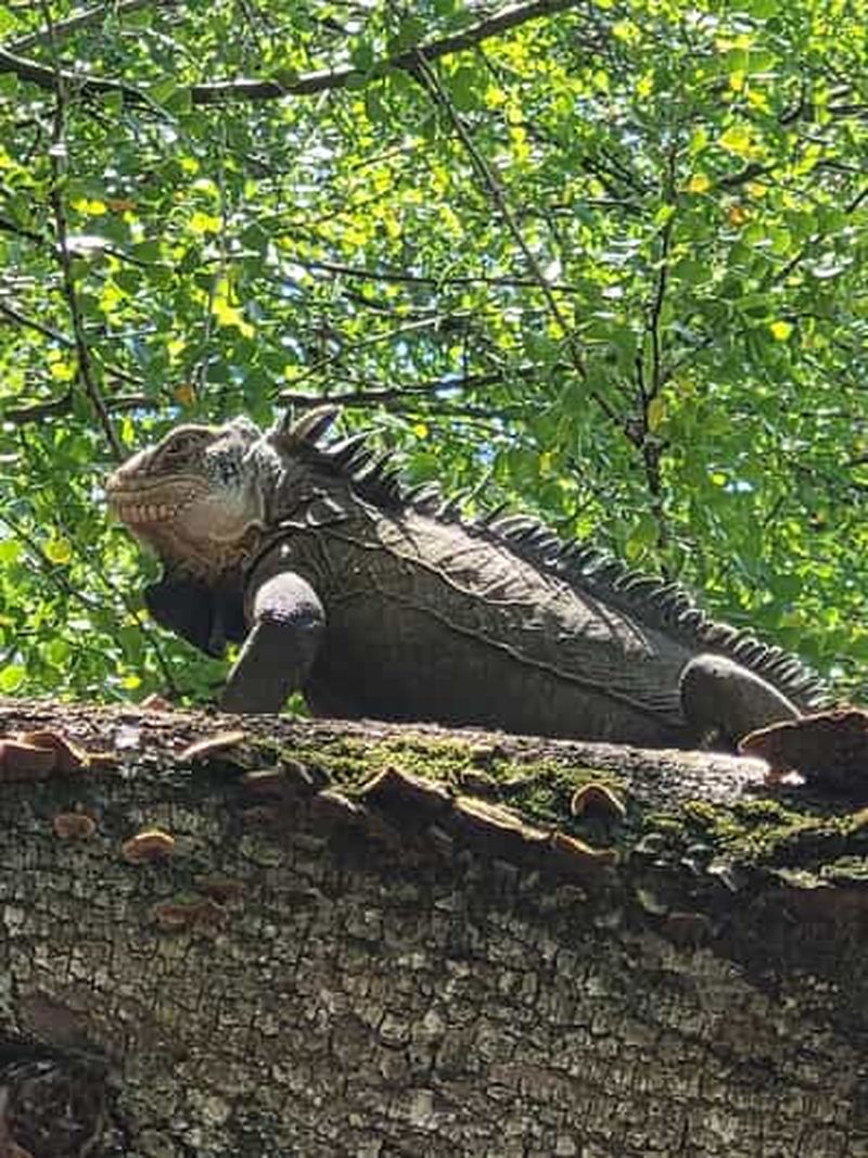 Billet Excursion en mer
