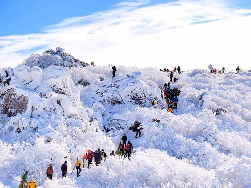 Billet Busan : excursion d'une journée à Muju, randonnée hivernale et station pittoresque