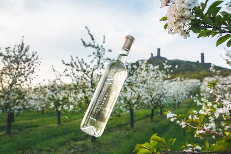 Billet Visite des vignobles tchèques et dégustation de vins en 4x4 avec déjeuner