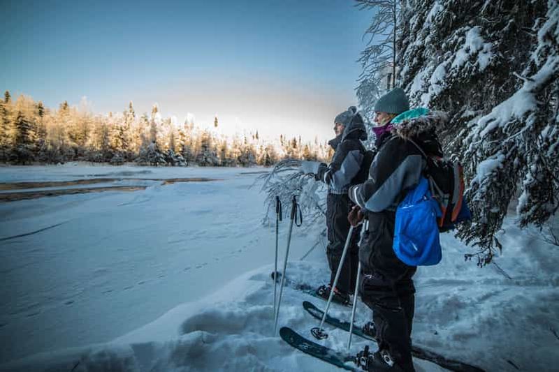 Billet Rovaniemi : Aventure de ski dans l'arrière-pays