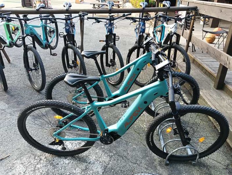 Billet Location de vélos électriques à Bielmonte
