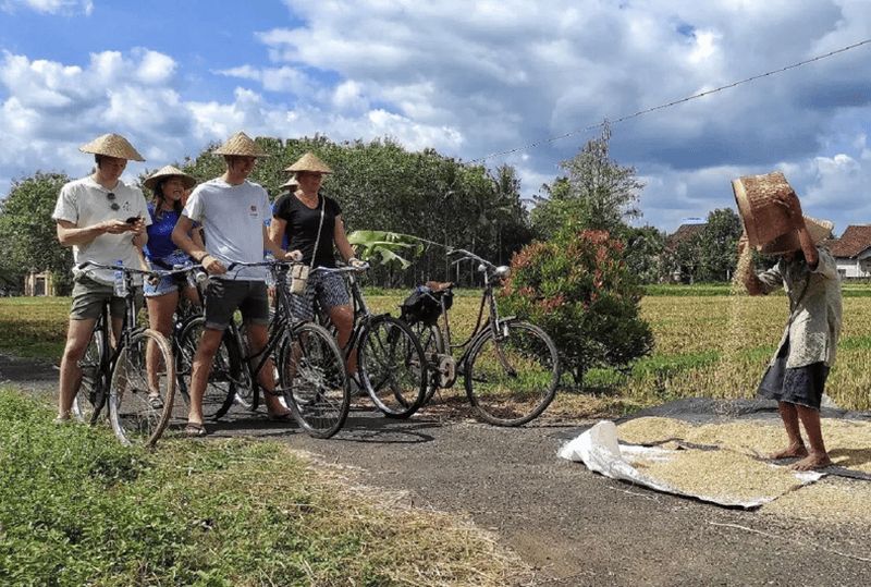 Billet Yogyakarta : Visite guidée à vélo des villages de la campagne