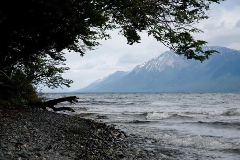 Billet Ushuaia : tour en bateau du canal de Beagle et de l'île aux pingouins