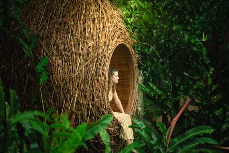 Billet Bali : Forêt des singes, Tegalalang, Uluwatu et danse Kecak