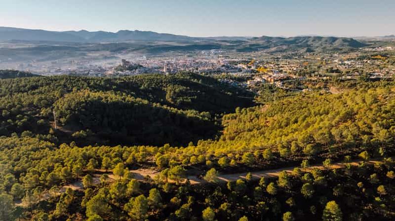 Billet Caravaca : Visite à vélo. Paradis rural et gastronomie authentique