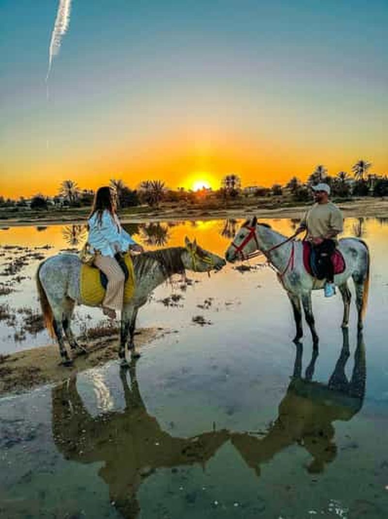 Billet Balade à cheval au coucher du soleil sur les plages paisibles de Djerba.