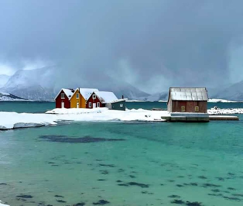 Billet Tromsø : excursion dans les fjords et les îles Sommarøy avec pique-nique au saumon