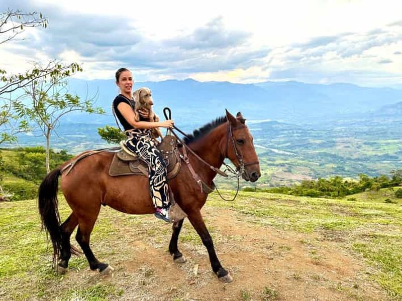 Billet Medellín : escapade parapente et équitation à Antioquia