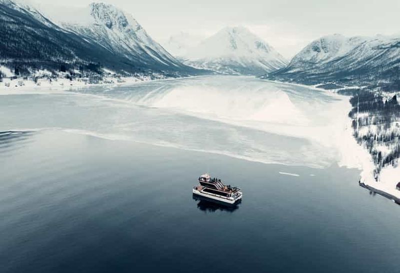 Billet Tromsø : Croisière dans les fjords de l'Arctique avec arrêt à terre aux râteliers à poissons