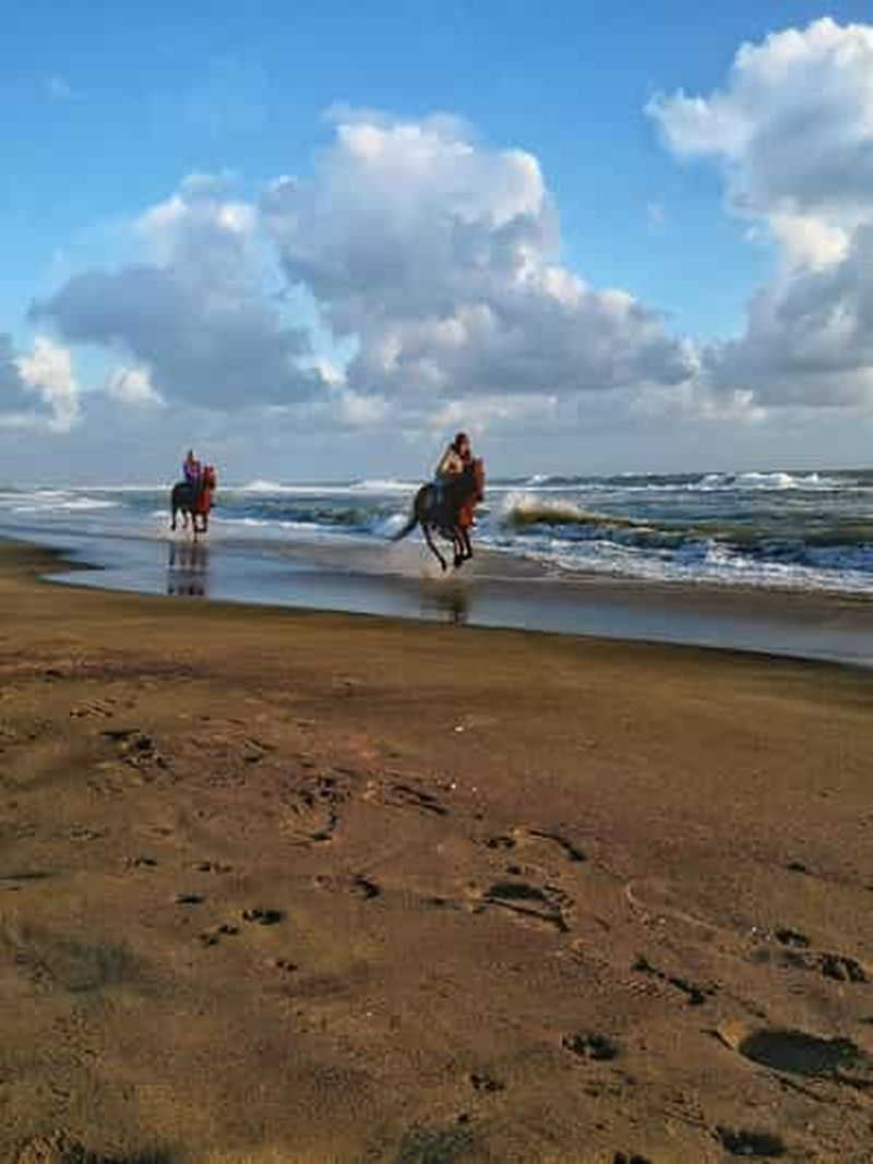 Billet Rome à cheval : l'ancienne Ostie et la plage avec apéritif