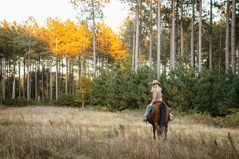 Billet Barcelone : balade à cheval, brunch, visite de la ferme et prise en charge