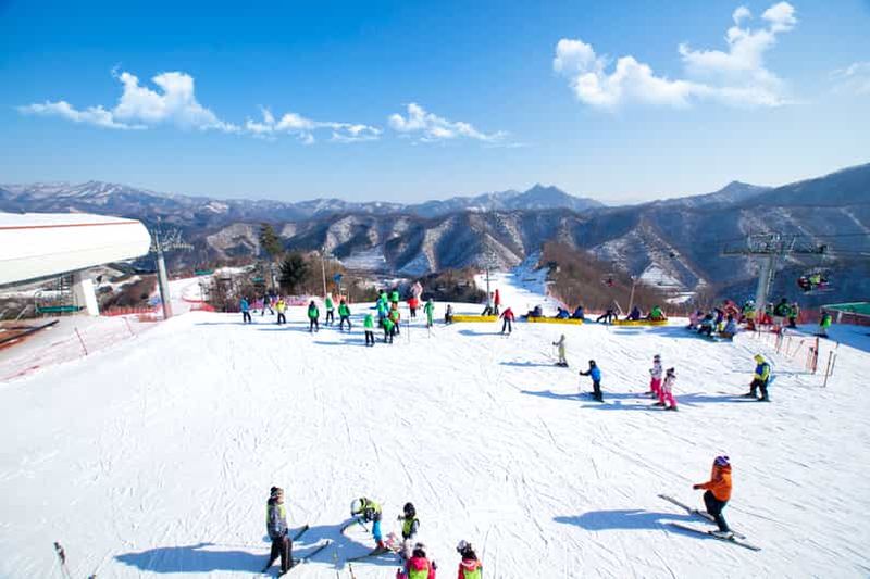 Billet Séoul : ski à Gangchon avec excursion d'une journée à l'île de Nami